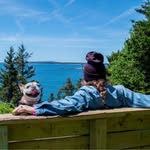 sammydecaprio profile picture