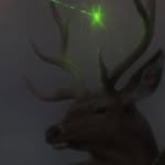 samrat.02 profile picture
