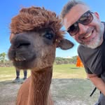 samybo__ profile picture