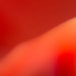 sanam_steinhart profile picture