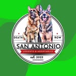sanantoniourgentsadoptables profile picture