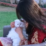 sana_sundhu007 profile picture