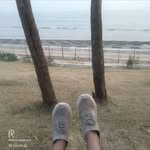 sanchi_jg profile picture