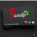 sandeepraj_101 profile picture