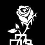 sandovalguadalupe426 profile picture