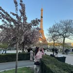 sandraaafl profile picture