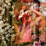 sandra_ramos_photo profile picture