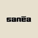 saneaseason profile picture