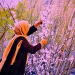 saniazehra402 profile picture