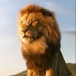 sanjay3746579 profile picture