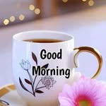 sanjayhiralalgojil profile picture