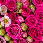 sanjoysing9635 profile picture