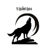 sanqinww profile picture
