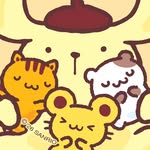 sanrio_kr profile picture