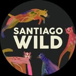 santiagowildfest profile picture
