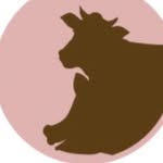 santuarioamorquesalva profile picture
