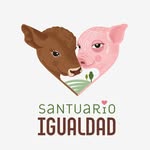 santuarioigualdad profile picture