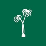 sanvicenteclubs profile picture