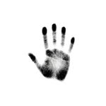 sapienkind profile picture