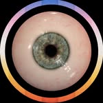 sapiens.bog profile picture