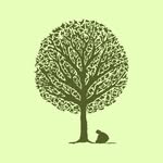 saplingspirits profile picture
