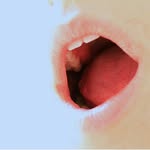 sara.scanderebech profile picture
