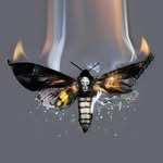 sarabandefoundation profile picture