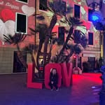 sara_ceccon profile picture