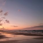 sarahcarterramlaul profile picture