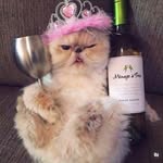 sarahk.elz profile picture