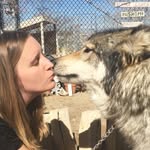 sarahtitherkaplan profile picture