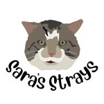 sarasstrays profile picture