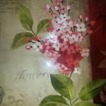 sara_yh_kh profile picture