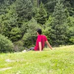 sarim_wani07 profile picture