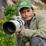 sarojobs profile picture