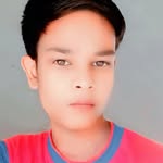 sarvash816 profile picture
