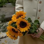 sarwa_la profile picture