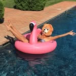 sashachestnut profile picture