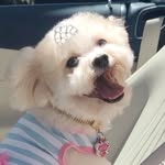 sasharenee13 profile picture