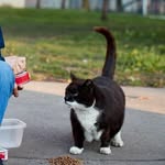 sassee_badass_tnr profile picture