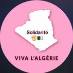 sassoui_pro profile picture