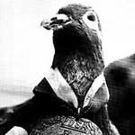 satoshi__nakamoto profile picture
