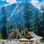 sattvapine_resorts profile picture