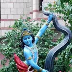 satyasarathirudra profile picture