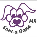 saveadanemx profile picture
