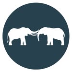 savetheelephants profile picture