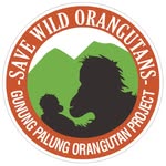 savewildorangutans profile picture
