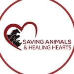 saving.animals.healing.hearts profile picture