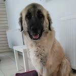 saving_artur profile picture