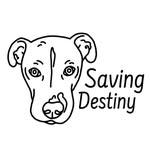 savingdestinyanimalrescue profile picture